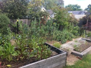 Backyard food growing