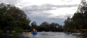 Paddlers on the Murray