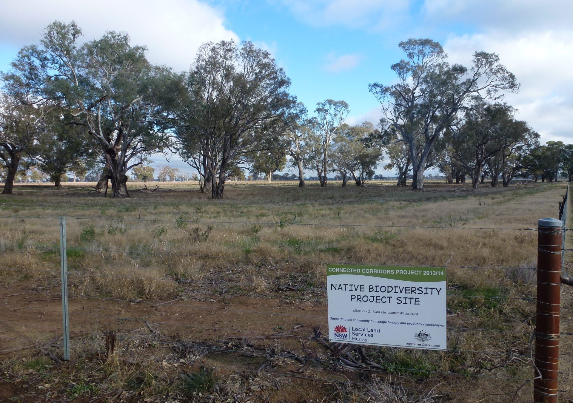 Connected-Corridors-1 – Ecoportal