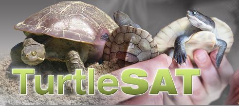 turtleSAT – Ecoportal