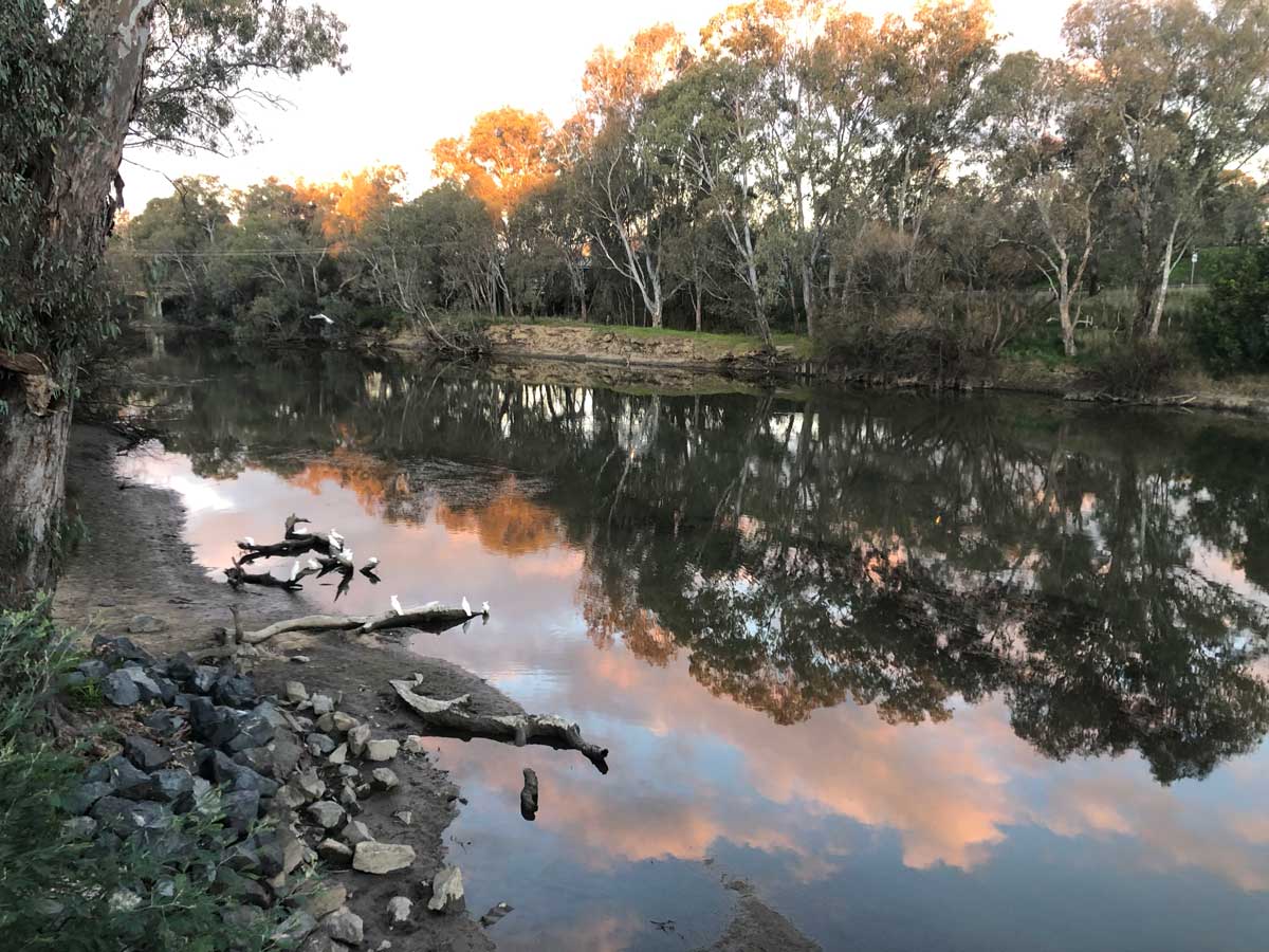 River with cloud reflection in the water